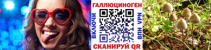 Галлюциногенные грибы Psilocybine cubensis  Купить  Котлас 